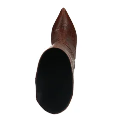 Cognac Hoge Leren Laarzen Met Crocoprint^Sacha Best