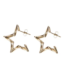 Goudkleurige Star Oorringen^Sacha Outlet
