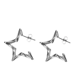 Zilverkleurige Star Oorringen^Sacha Discount