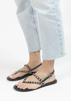 Zwarte Sandalen Met Goudkleurige Studs^Sacha Hot